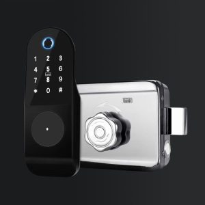 Old-fashioned Iron Door Outer Installation Fingerprint Lock