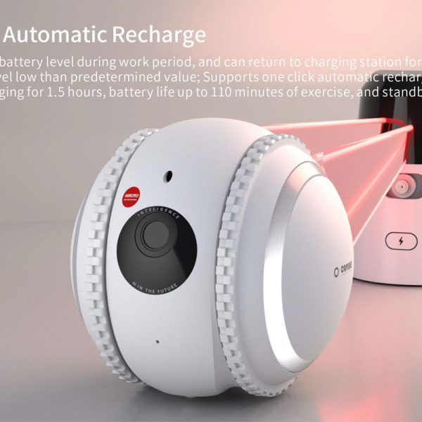 17a13ace-8ac6-409b-bf05-2db2a2a06064.jpg