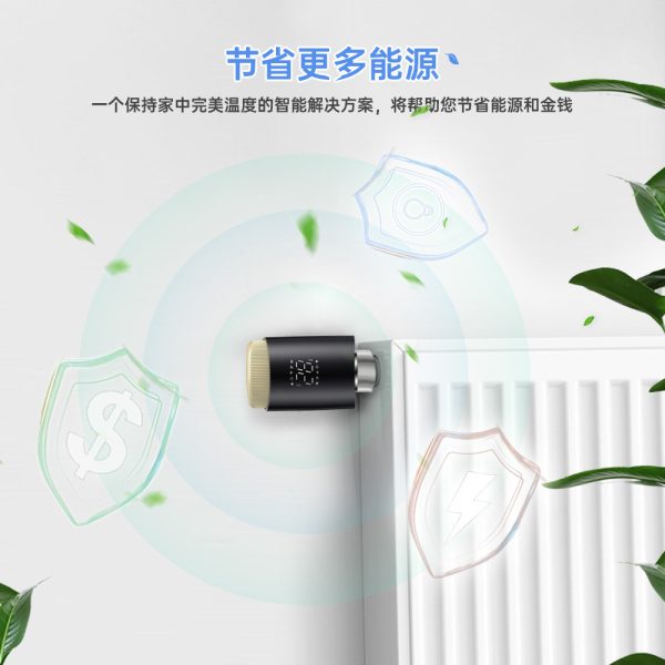 2dcdbe59-6648-4a5b-b04e-fe4cea220999.jpg