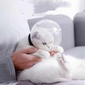 Pet Circle Cat Space Hood Dog