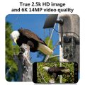 a5b8a911-ca9e-4c9c-a813-9518aab30d48.jpg