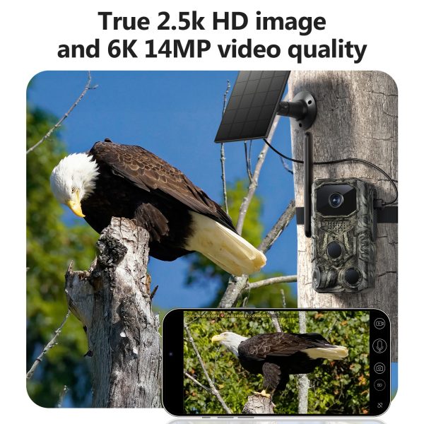 a5b8a911-ca9e-4c9c-a813-9518aab30d48.jpg